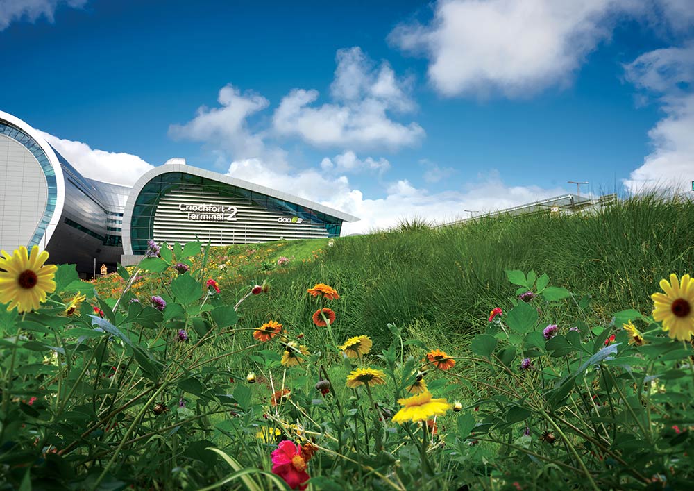 Wildflowers-April-2021