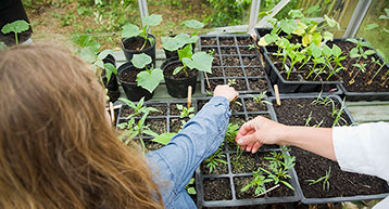 Kids Gardening Kids Gardening