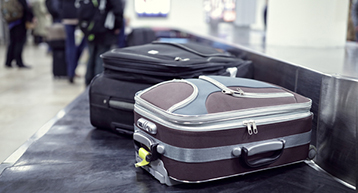 Luggage belt Arrivals Terminal 1 Luggage belt Arrivals Terminal 1